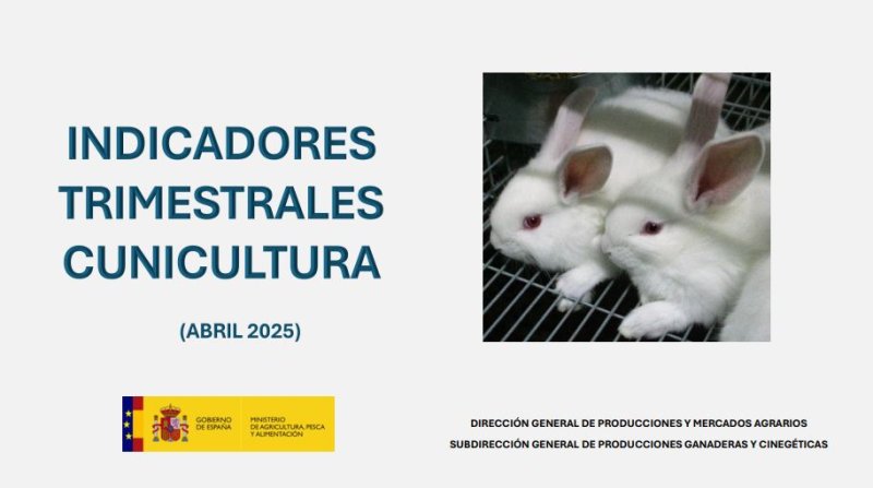 Informe Trimestral sobre el Sector Cunícola