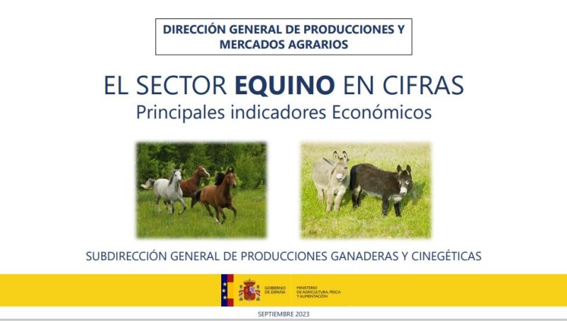 El Sector Equino en Cifras. Principales Indicadores Económicos