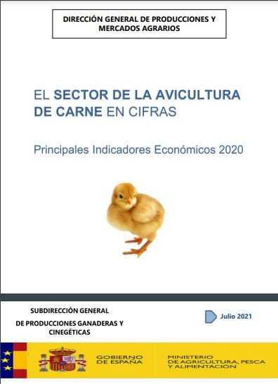 El Sector de la Avicultura de Carne en Cifras. Principales Indicadores Económicos
